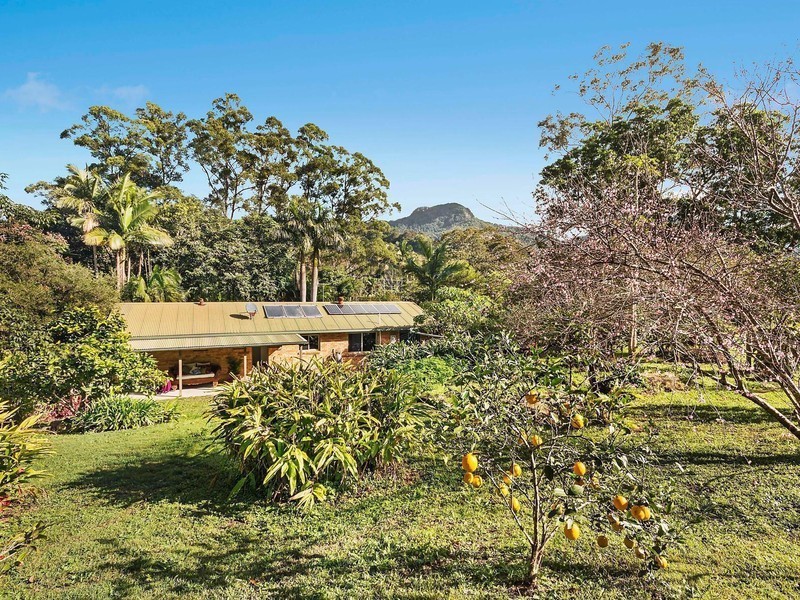 834 Main Arm Road, Main Arm NSW 2482