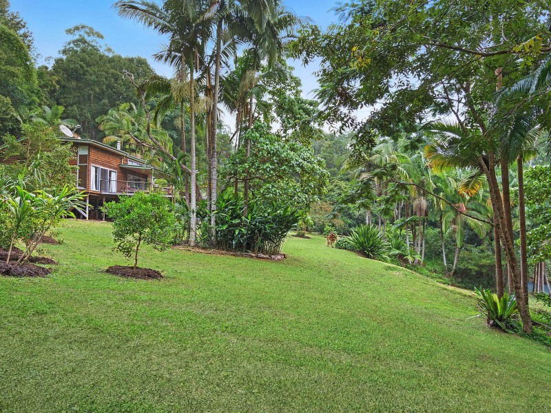 34 Blackbean Road, Wilsons Creek NSW 2482