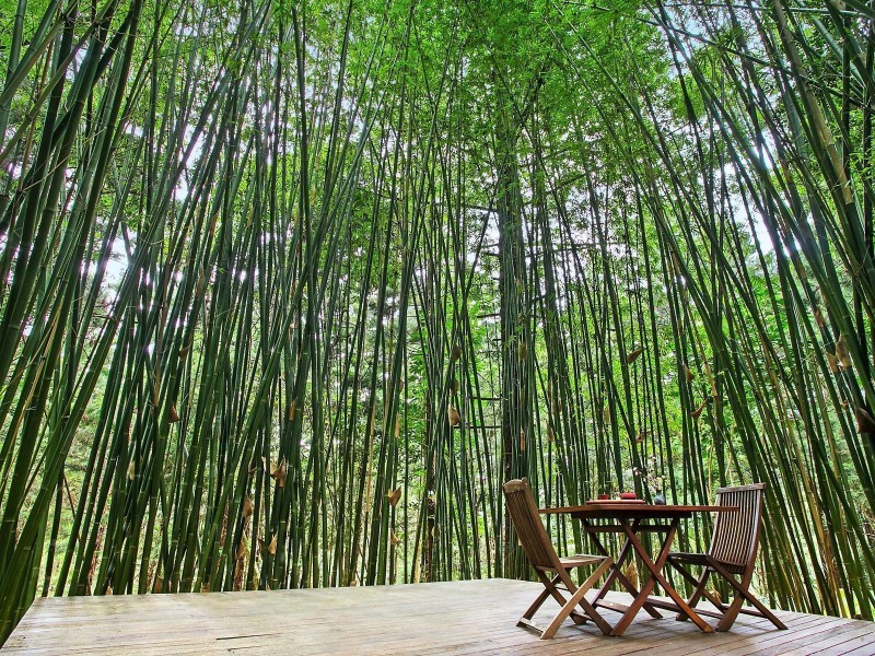 317 Skinners Shoot Road, Skinners Shoot NSW 2481