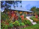 829 Bangalow Road, Bangalow NSW 2479