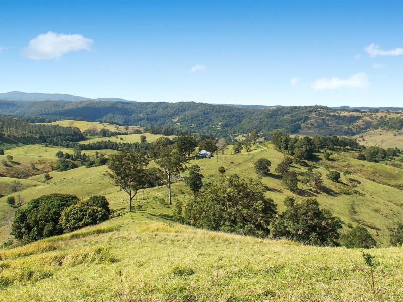 252 Cox Road, Koonorigan NSW 2480