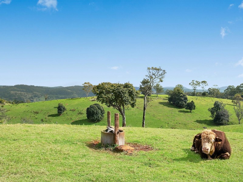 287 Whian Whian Road, Whian Whian NSW 2480