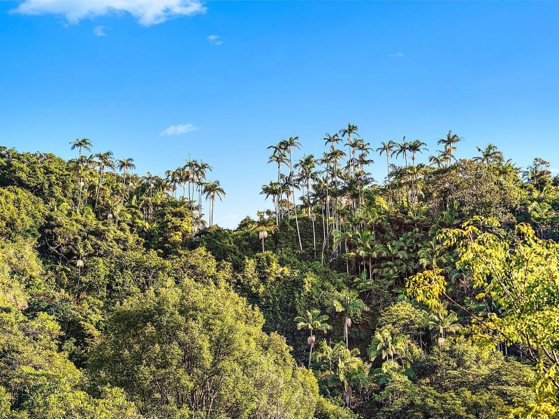 Lot 33 ‘Seacliffs’ Hayters Drive, Suffolk Park NSW 2481