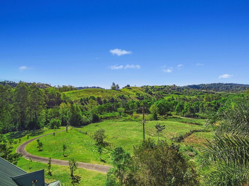 64 Terania Creek Road, The Channon NSW 2480