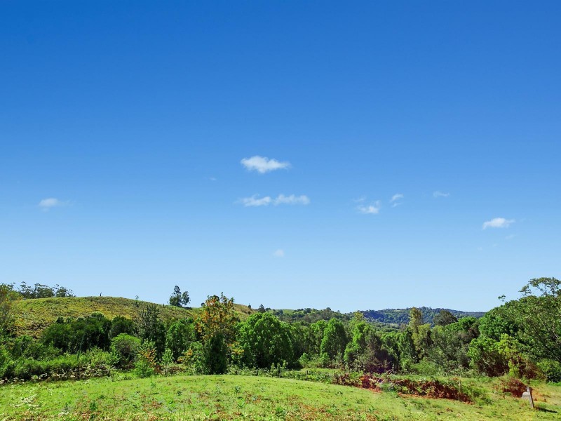 64 Terania Creek Road, The Channon NSW 2480