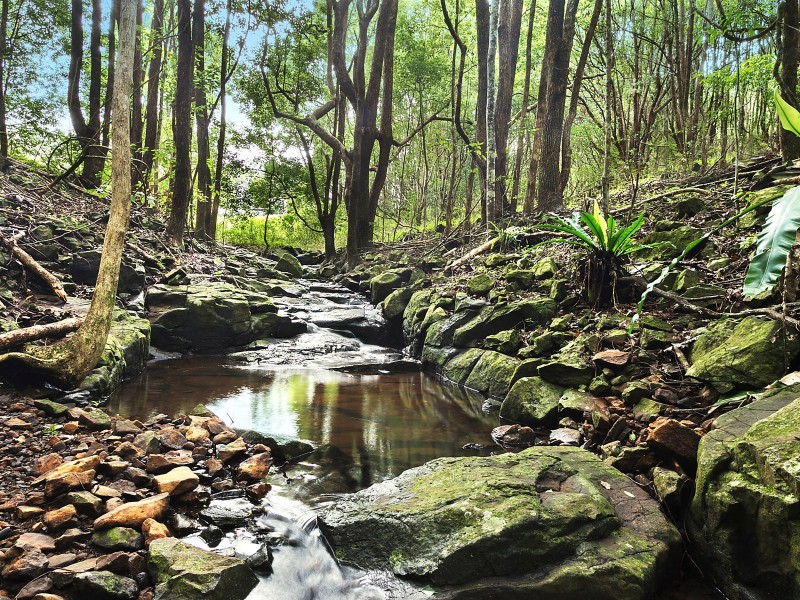 331 Binna Burra Road, Binna Burra NSW 2479