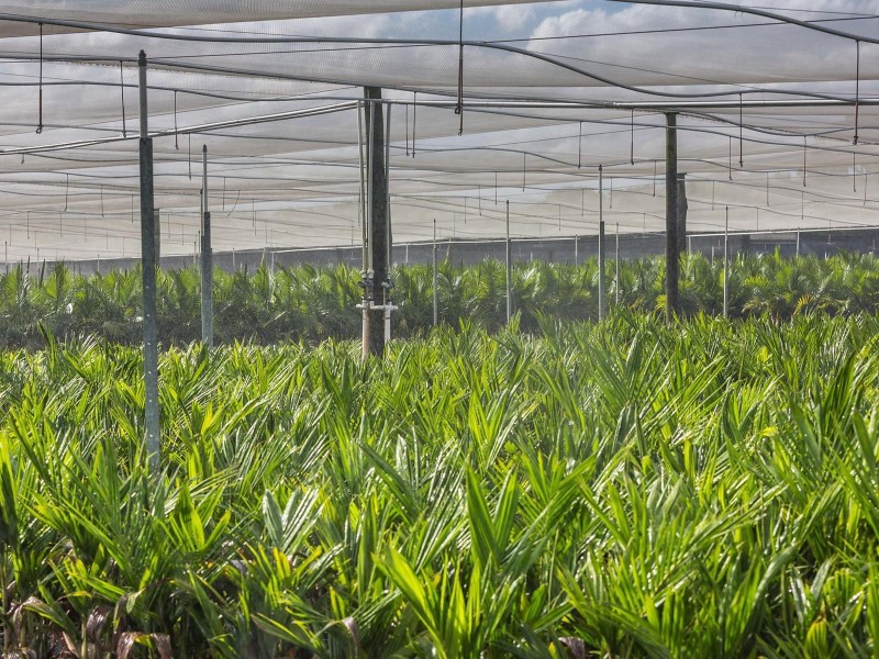 1261 Teven Road, Alstonville NSW 2477