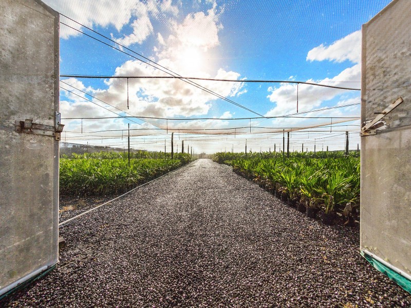 1261 Teven Road, Alstonville NSW 2477