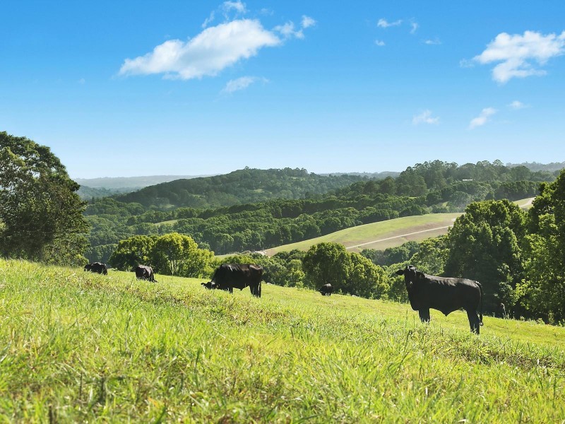 Proposed Lot 10 Possum Creek Ridge, Bangalow NSW 2479