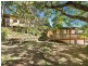 202 Palmwoods Road, Main Arm NSW 2482