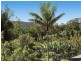 202 Palmwoods Road, Main Arm NSW 2482