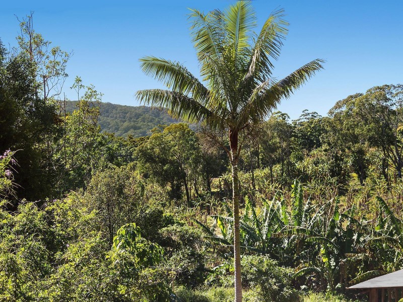 202 Palmwoods Road, Main Arm NSW 2482