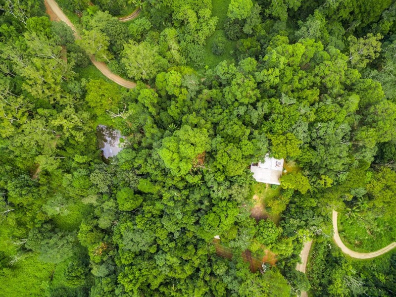 1536 Main Arm Road, Upper Main Arm NSW 2482