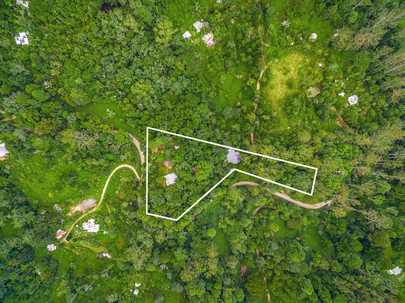 1536 Main Arm Road, Upper Main Arm NSW 2482