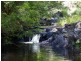 624 Tuntable Creek Road, The Channon NSW 2480