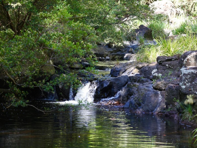 624 Tuntable Creek Road, The Channon NSW 2480