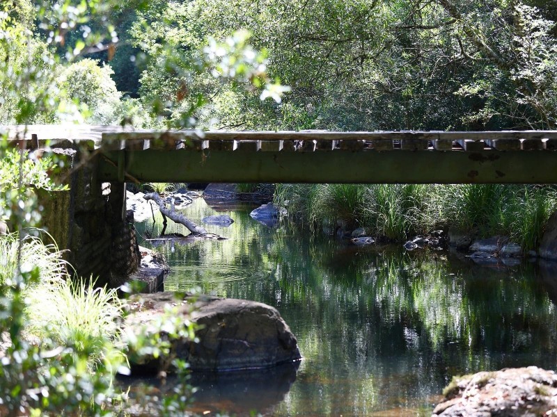 624 Tuntable Creek Road, The Channon NSW 2480