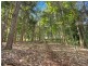 624 Tuntable Creek Road, The Channon NSW 2480