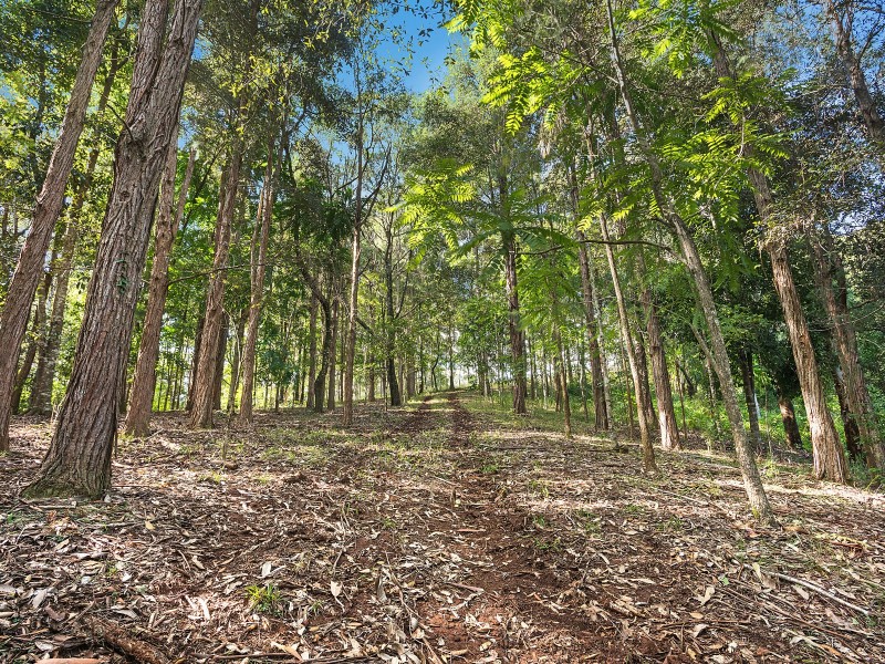 624 Tuntable Creek Road, The Channon NSW 2480