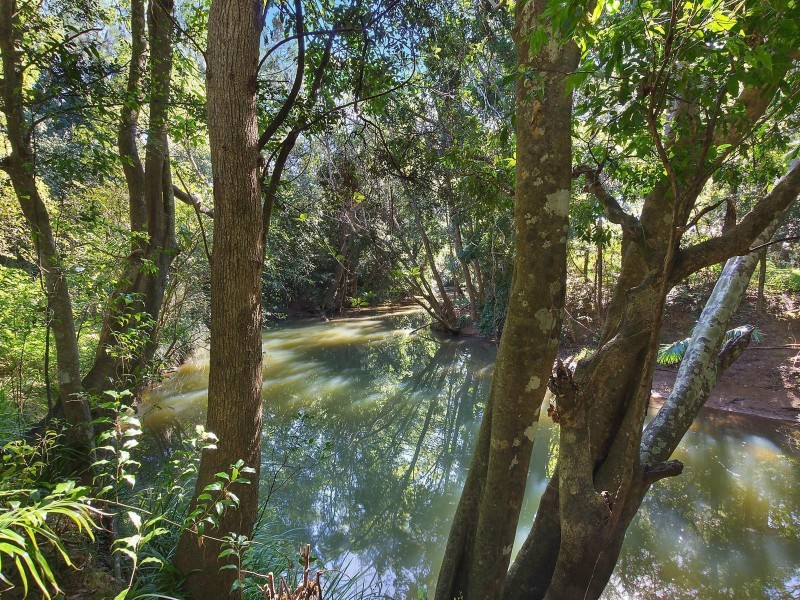 11 Lomandra Lane, Mullumbimby NSW 2482