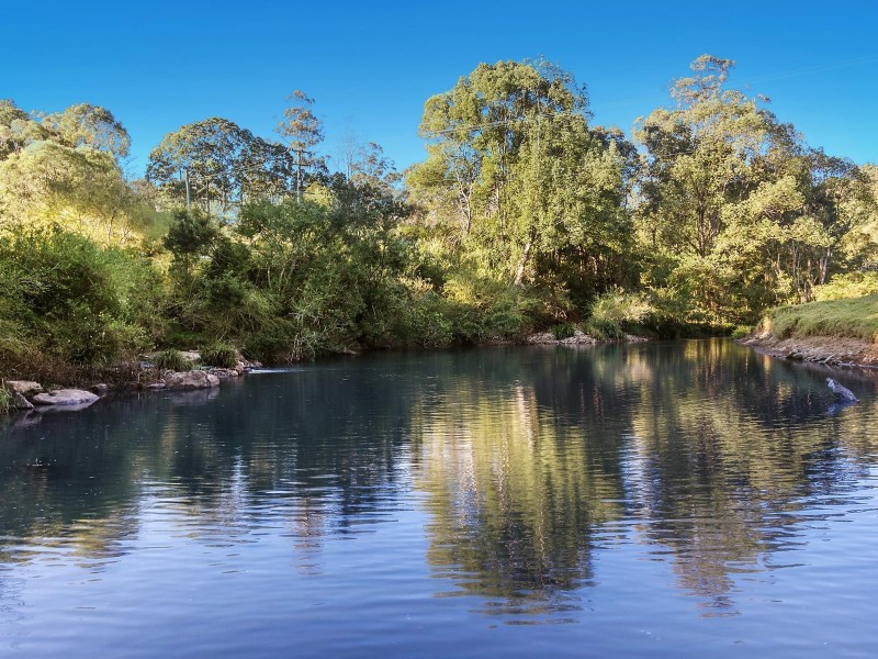 450 Repentance Creek Road, Rosebank NSW 2480