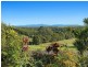 165 Brooklet Road, Newrybar NSW 2479