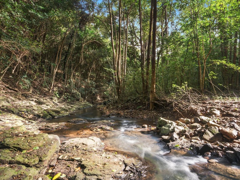 642 Binna Burra Road, Federal NSW 2480