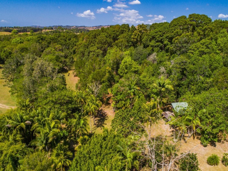 53 Fig Tree Lane, Myocum NSW 2481