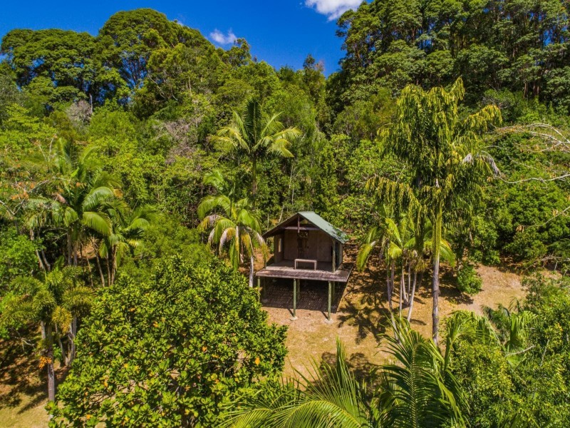 53 Fig Tree Lane, Myocum NSW 2481