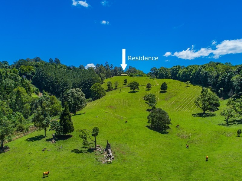 124 Coopers Creek Road, Repentance Creek NSW 2480