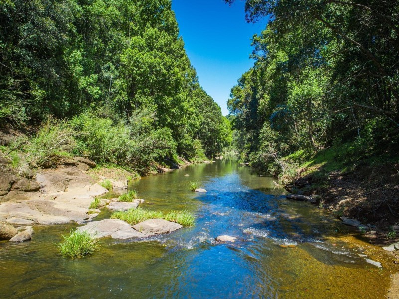 124 Coopers Creek Road, Repentance Creek NSW 2480