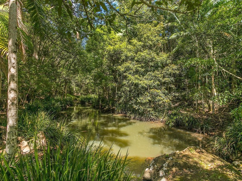 231 Fowlers Lane, Bangalow NSW 2479