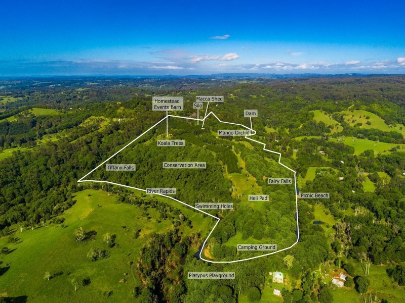 412 Repentance Creek Road, Rosebank NSW 2480