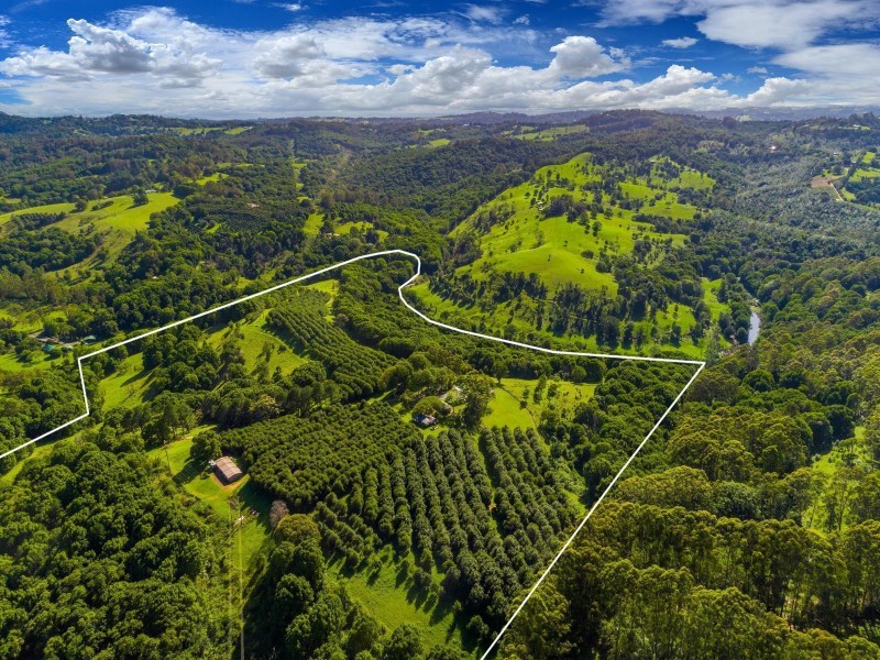 412 Repentance Creek Road, Rosebank NSW 2480