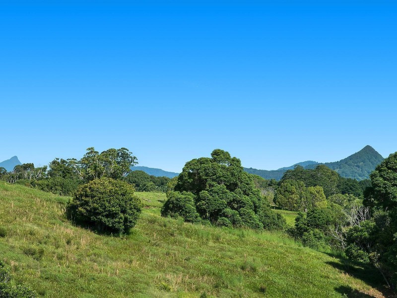 47 Mullumbimby Road, Myocum NSW 2481