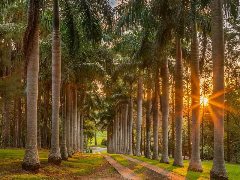 1 Taylors Road, Eureka NSW 2480