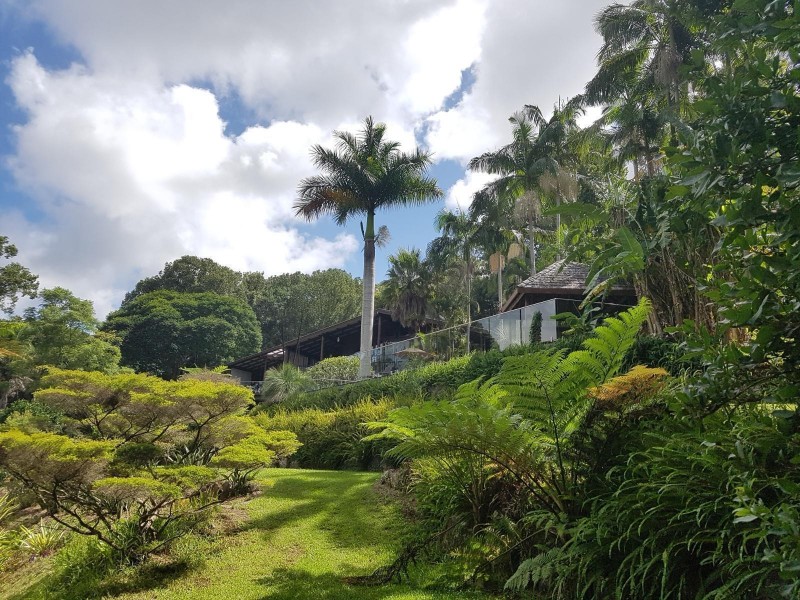 23 Parmenters Road, Wilsons Creek NSW 2482