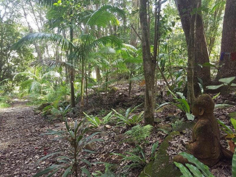 23 Parmenters Road, Wilsons Creek NSW 2482