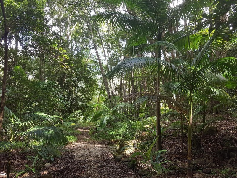 23 Parmenters Road, Wilsons Creek NSW 2482