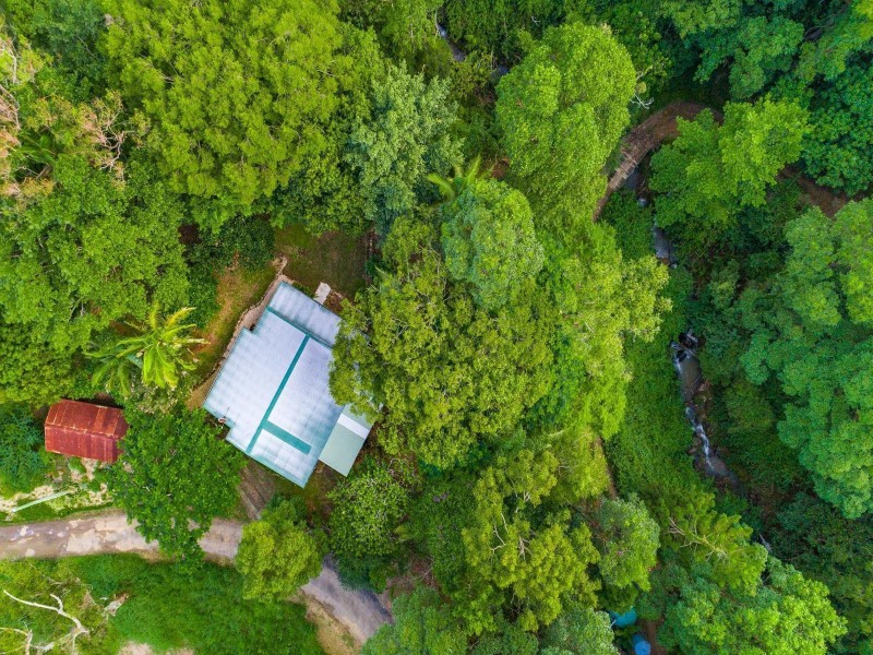 200 Palmwoods Road, Palmwoods NSW 2482