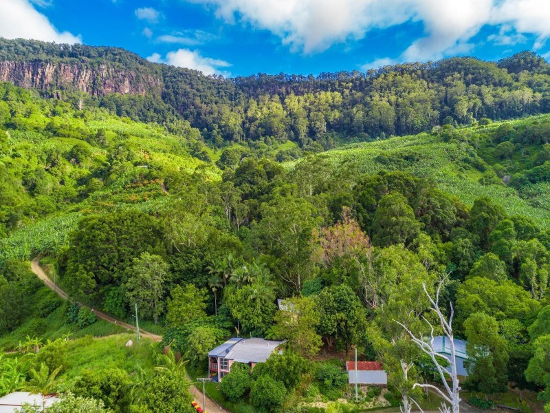 200 Palmwoods Road, Palmwoods NSW 2482