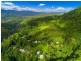200 Palmwoods Road, Palmwoods NSW 2482