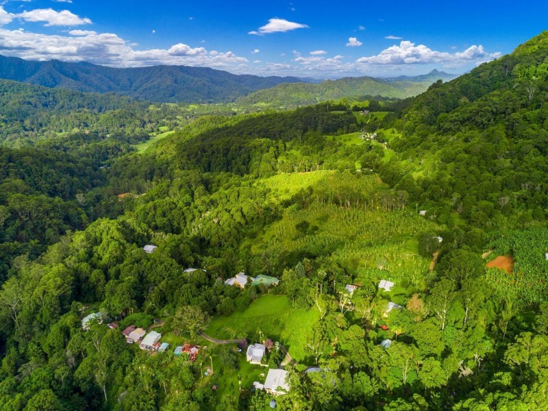 200 Palmwoods Road, Palmwoods NSW 2482