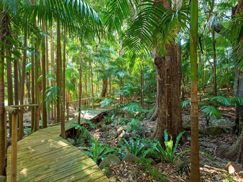 173 McGettigans Lane, Ewingsdale NSW 2481