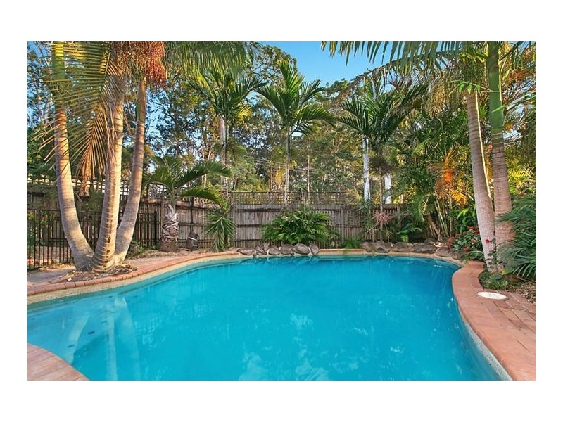 Palmwoods QLD 4555