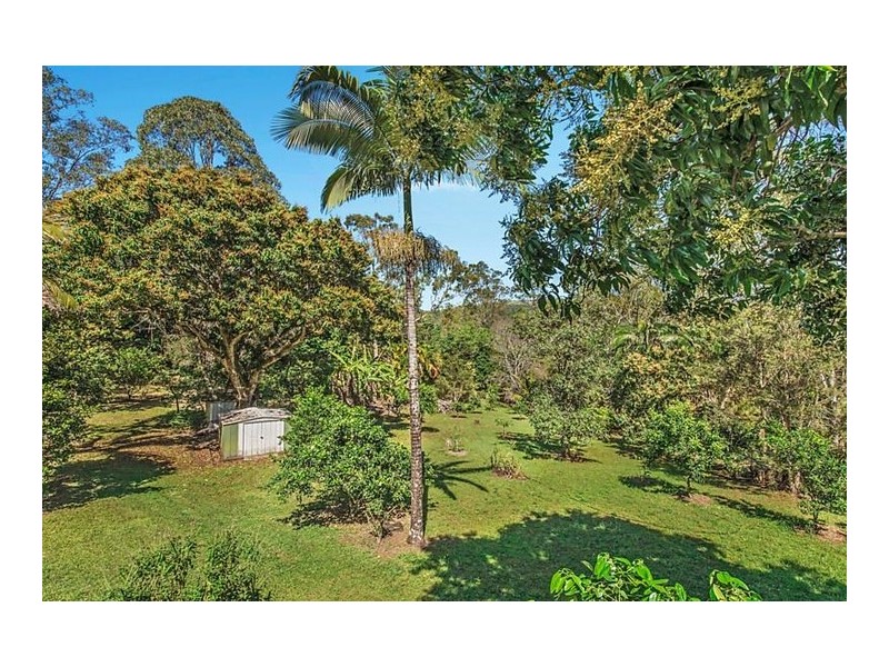 Mooloolah Valley QLD 4553