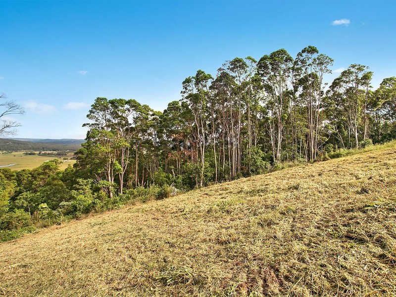50 Ocean Vista Drive, Maroochy River QLD 4561