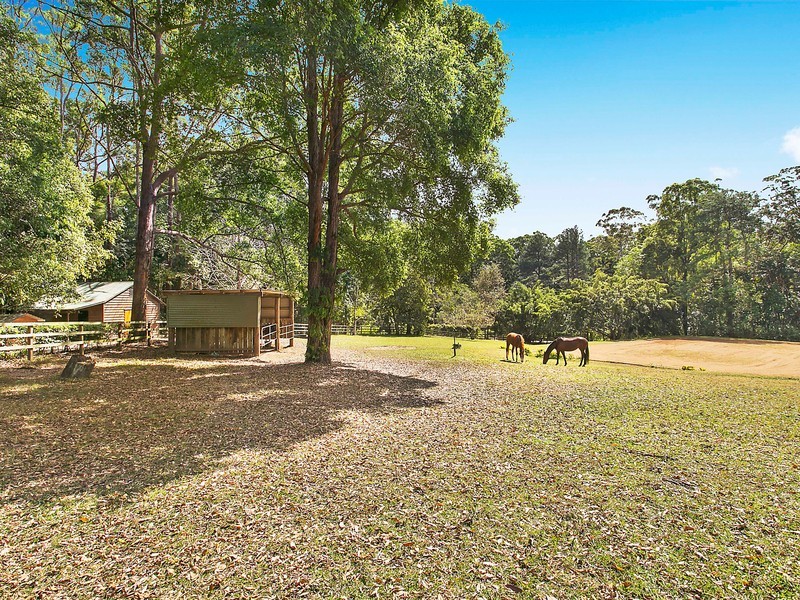 378 Diddillibah Road, Diddillibah QLD 4559