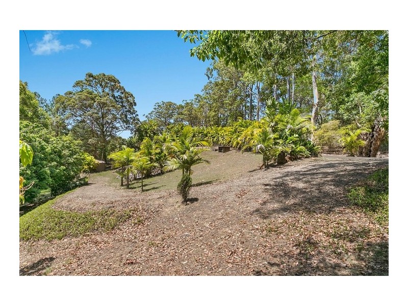 481 Kiel Mountain Road, Diddillibah QLD 4559