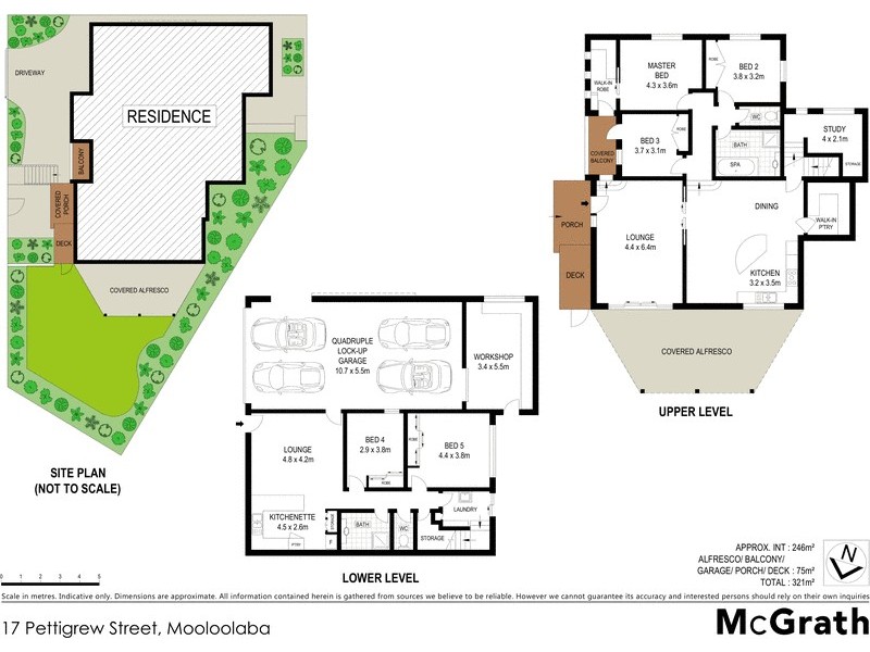 17 Pettigrew Street, Mooloolaba QLD 4557 Floorplan